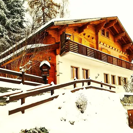 Haute Vue Mountain & View 14 Pers