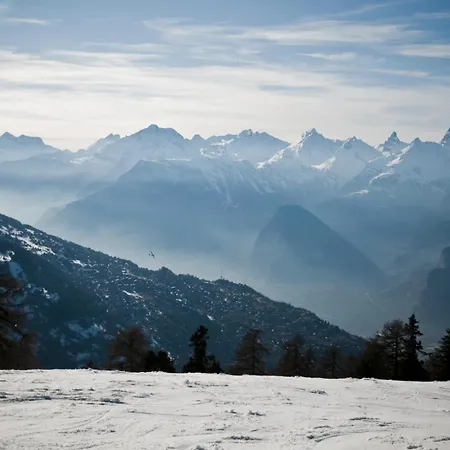 Haute Vue Mountain & View 14 Pers * Veysonnaz
